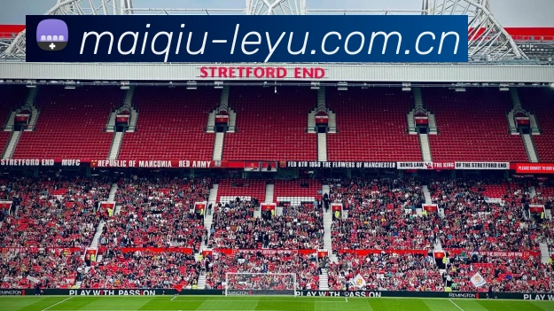 乐鱼体育APP 封面图